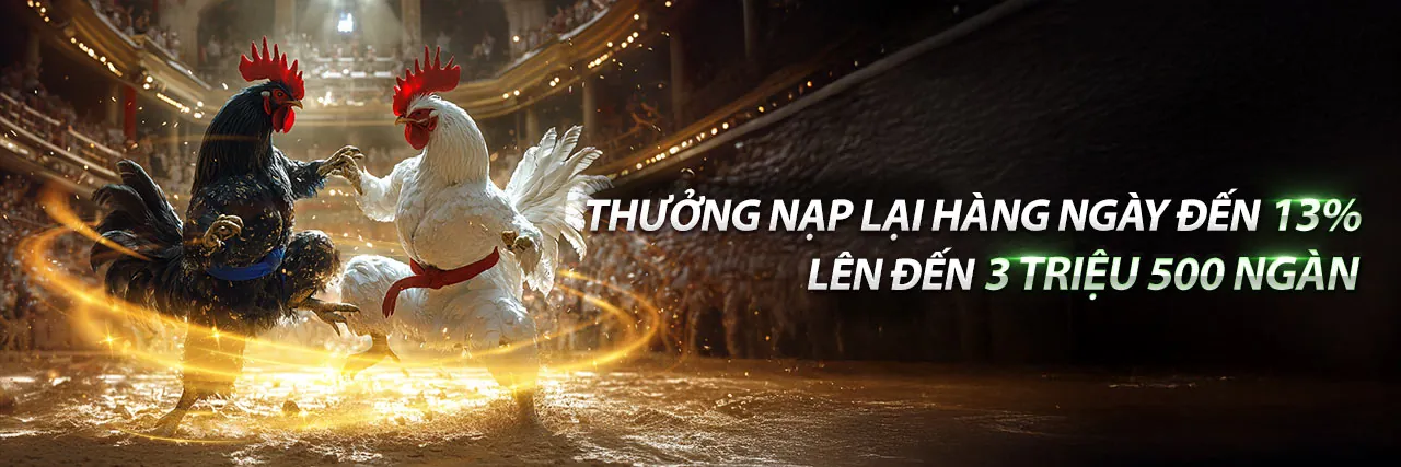 acb888 trang chủ - Cập nhật tin tức và sự kiện mới nhất